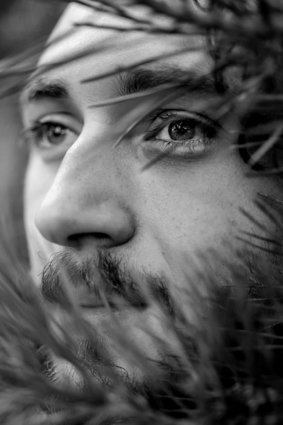 Dafydd Burnford